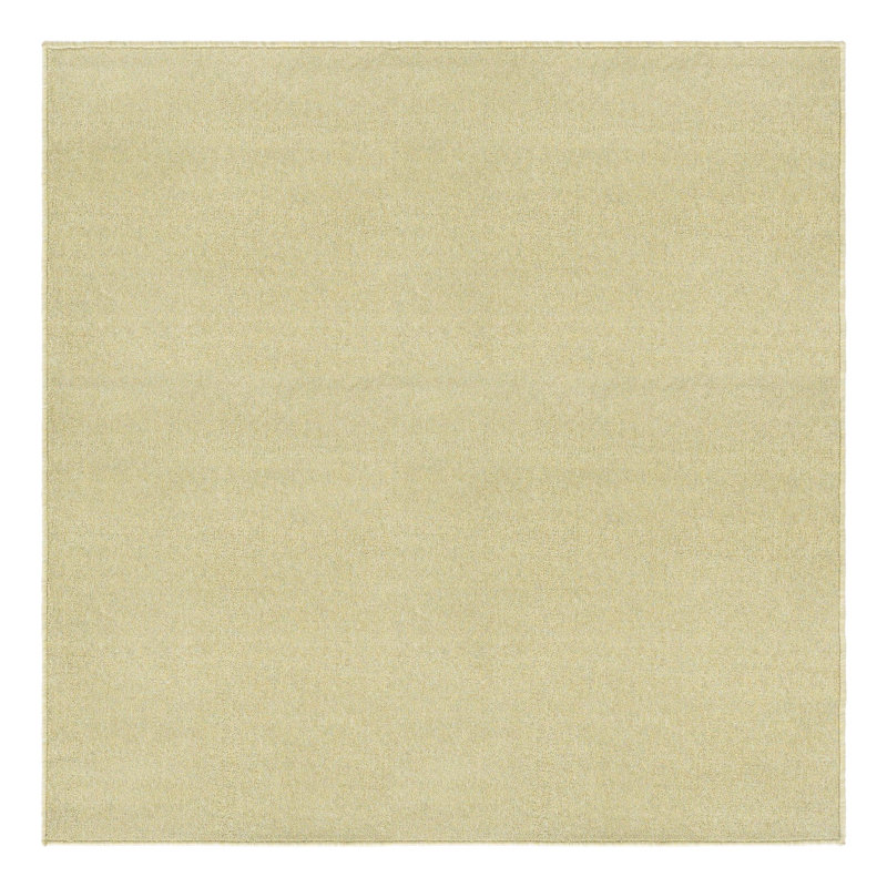  Performance Pastel Green Rug, Square 5'3"