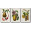 " Sepia Botanicals IV " 3 - Pieces-97711012-97711013