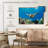 Maui Green Sea Turtle-70843015-70843009