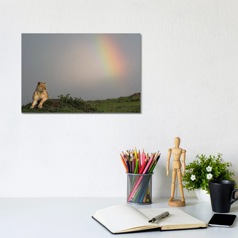 Africa, Kenya, Maasai Mara National Reserve. Female Lion And Rainbow. by Jaynes Gallery - Wrapped Canvas Painting