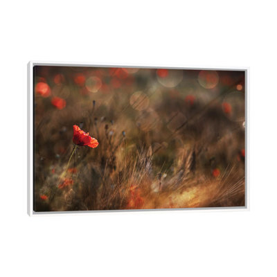 Poppy 1 Piece Single Picture Frame and Floater Frame Wall Art on Canvas