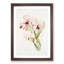 Magnolia Flowers Illustration Tab. 49 by Frederick Sander - Picture Frame Painting Print-55760229-55760233