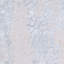 Tapis abstrait gris clair Jahiem-2003216697