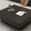 Dizon-501945346