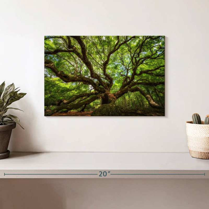 Harnek Oak Tree In South Carolina, 8" H x 12" W