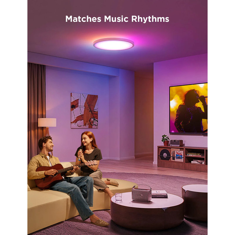  12-Inch RGBWW + RGBIC Smart Ceiling Light