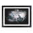 Black Framed selected