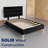 Allivia Upholstered Platform Bed-92170573-92170574