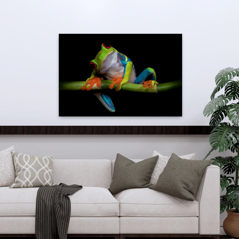 Art contemporain, portrait de grenouille de bambou, H 32 po x l 48 po