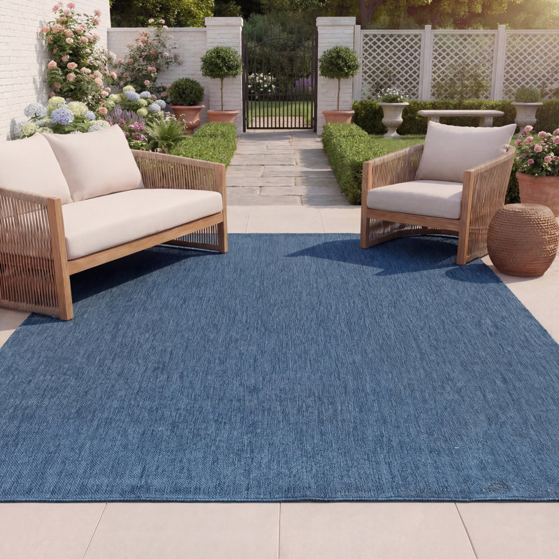 Emestina Performance Performance Solid Color Indoor/Outdoor Area Rug, Rectangle 8' x 10'