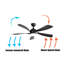 Loammi 52'' Ceiling Fan with LED Lights-1002041009-1002041008