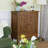 Accent Cabinet