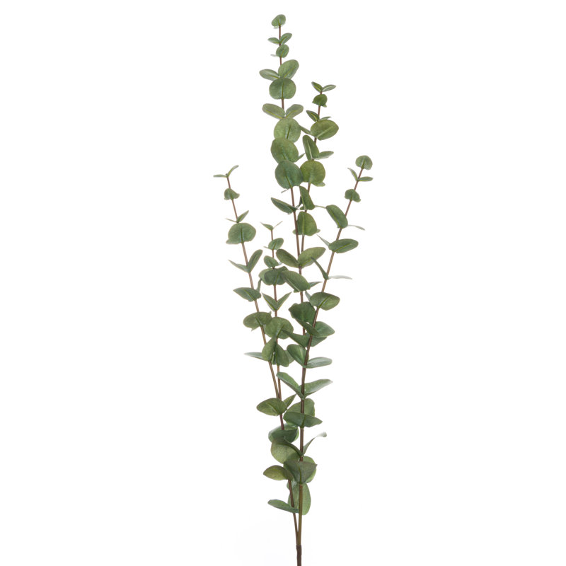 Anastasija Arrangement