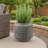 Rhudriah Ceramic Pot Planter