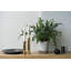Sip Planter-1509940494