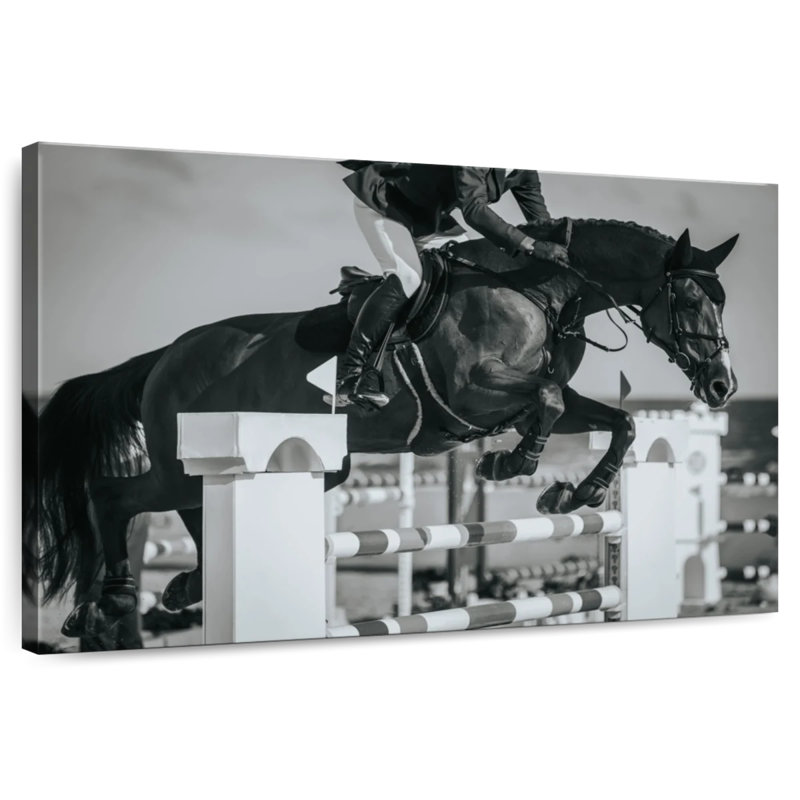 Sireci BW Equestrian Jumping, 26" H x 39" W