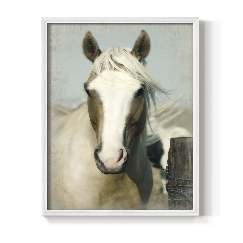 Impression encadrée de cheval - Bois massif, H 21 po x l 17 po, Blanc
