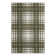 Tatasha Plaid Power Loom Polypropylene Plastic Indoor/Outdoor Area Rug in White/Green