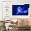 Crowle Sea Moon Jellyfish-111960799