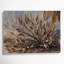 «Southwestern Plants Four Wing Saltbush 165», art mural sur toile grise-581471185