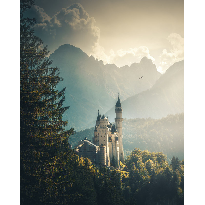 Wrapped Canvas Print, 76.2cm H x 50.8cm W