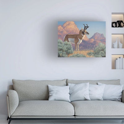Jeff Hoff After The Storm Pronghorn Canvas Art