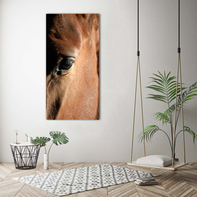 Horse - Wrapped Canvas Print