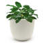 Pot à fleurs rond blanc de 17,5 po avec trou de drainage Acushnet-1333807580-1333807577