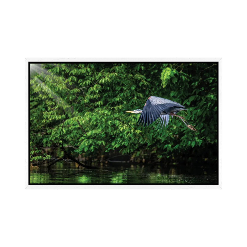 Big Blue In Green by David Gardiner - Wrapped Canvas Print, White Framed, 66.04 cm H x 45.72 cm W