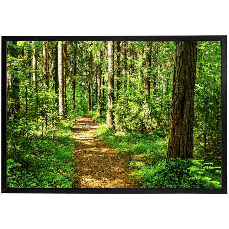 Zolotas Single Picture Frame Print, Black Framed, 76cm H x 114cm W x 4cm D