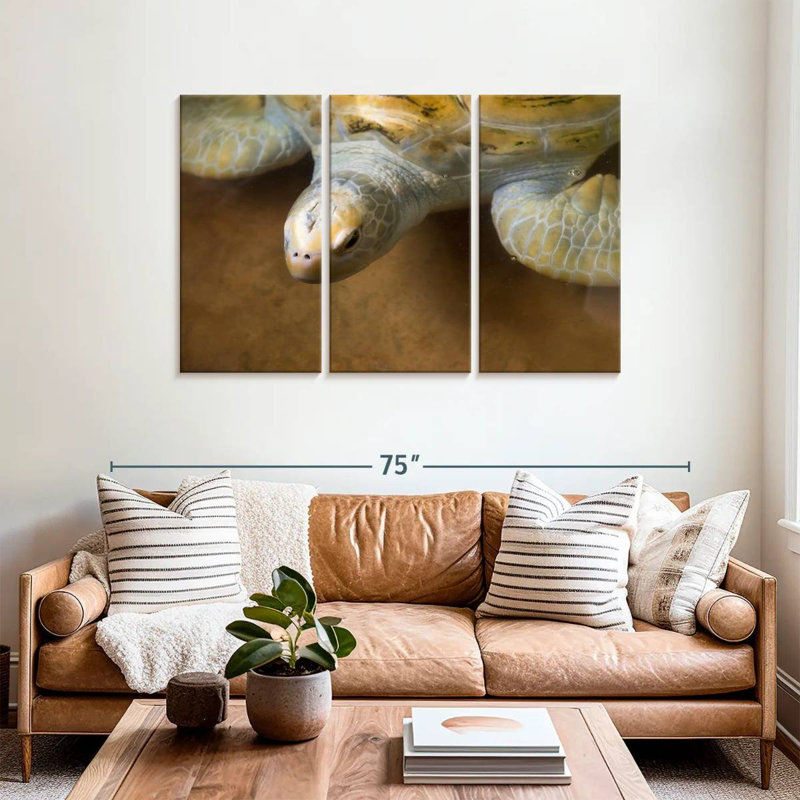 Brampt Stunning Turtle, 36" H x 57" W
