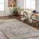 Hoeft Oriental Indoor Rug