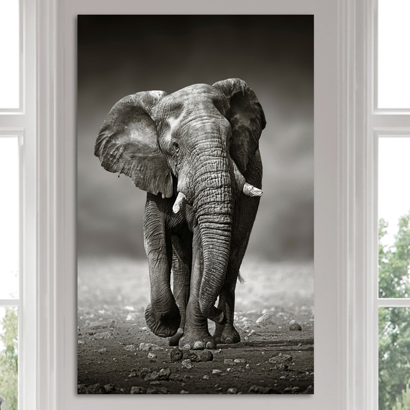 « protector », reproduction de photo sur toile enroulée, H 40 po x l 24 po x P 1 po