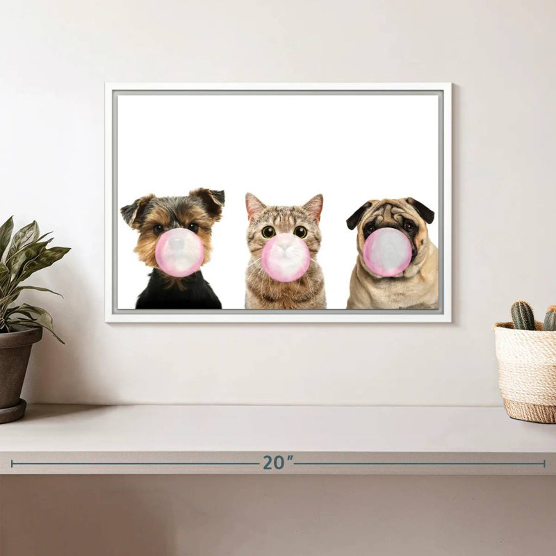 Bubble Gum, animaux de compagnie, Cadre flottant blanc, 13 po x 9 po