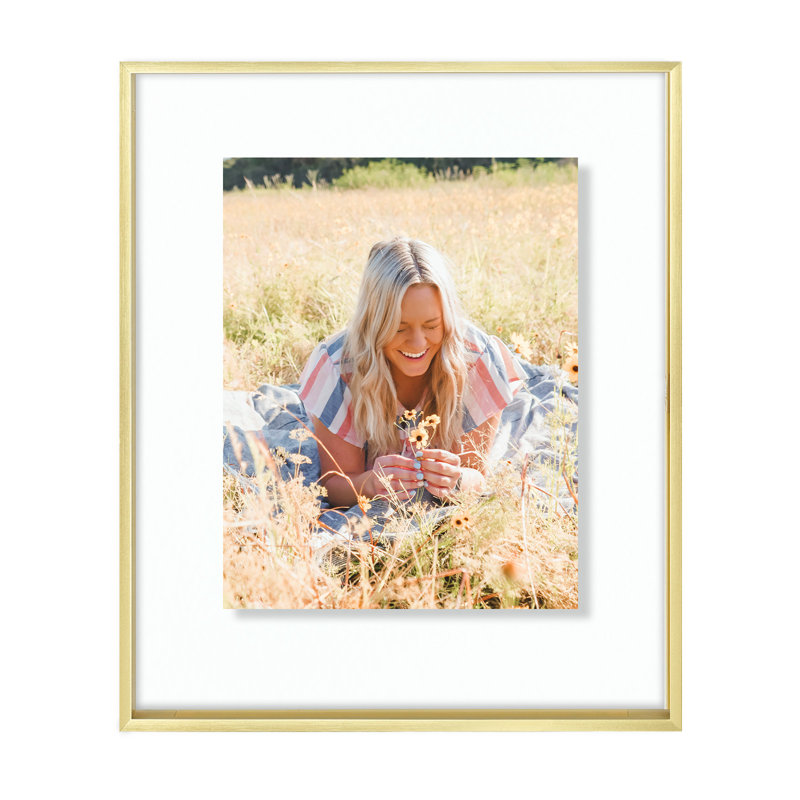 Chevalier Floating Frame 16x20, Metal Frame Display Photos, Plant or Petal Specimens for Wall Display, Gold