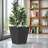 Versatile Metal Planter for All Settings, Enhancing Garden and Home Aesthetics-245383667-245383664