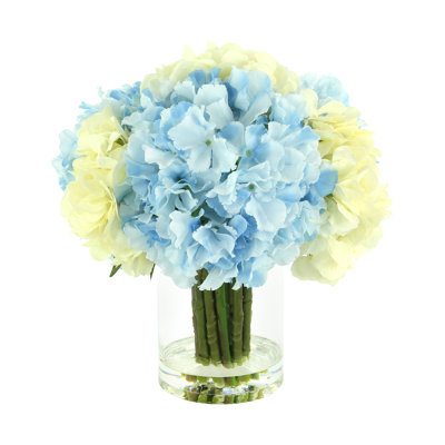 Hydrangeas Arranged in Clear Glass Vase
