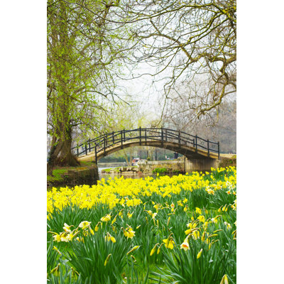Le printemps en Angleterre - Photographie sur toile tendue