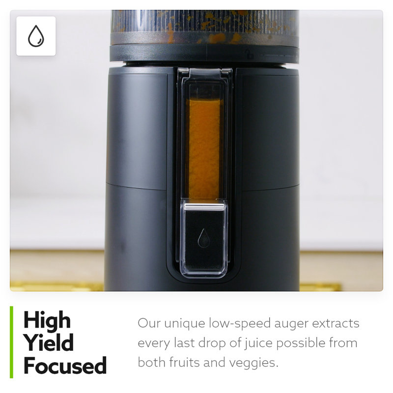 Hurom H400 Two Tone Easy Clean Slow Juicer