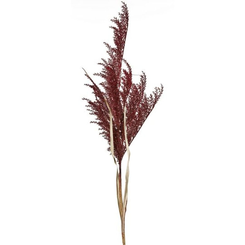 Herbe de pampas artificielle 45 po, Bourgogne