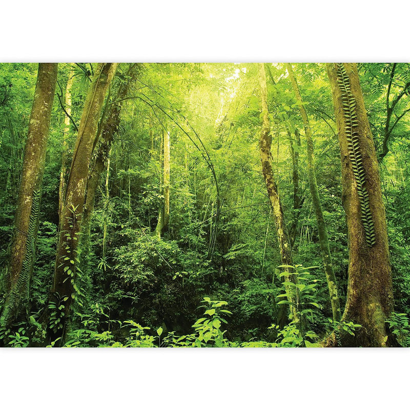 Murale vert forêt ancienne, L 66 po x l 96 po