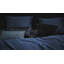 Cotton 300 TC Duvet Cover Set-41474385-41474378