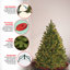 Sapin Douglas avec lumières DEL bicolores de 4,5 pi Downswept Douglas Fir
