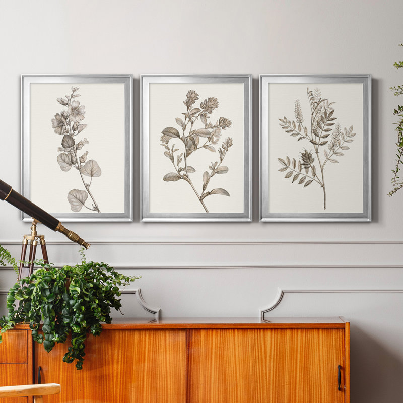Neutral Botanical Study I - Ensemble de 3 impressions sur toile encadrées, Argent, H 30,5 po x l 127,5 po x P 4,5 po