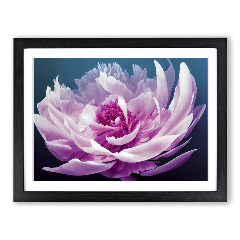 Unbelievable Peony Flower - Framed Print, Black, 46cm H x 64cm W x 2cm D