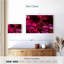 Harnek - fleurs rouges et roses-107497238