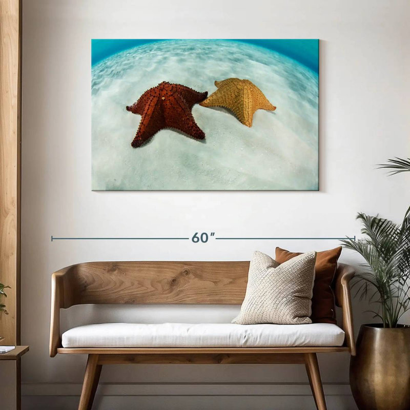 Brampt Caribbean Starfish, 30" H x 45" W