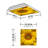 Flower Square Fixture Component Ceiling Light