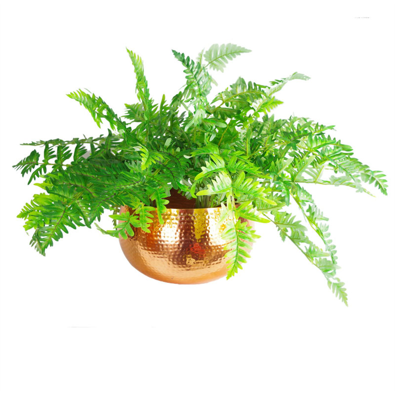 Sevyn Handmade Metal Cachepot, Copper, 20cm H x 30cm W x 30cm D