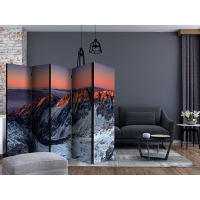 Camacho 225cm W x 172cm H 5 - Panel Folding Room Divider